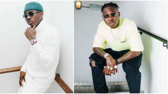 Not nice: Reactions as Zlatan shares video of moment he blasted plantain chips seller, tells him to hustle