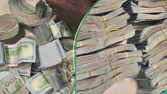 Customs intercepts $1.1m concealed in Palm Dates at Kano Airport