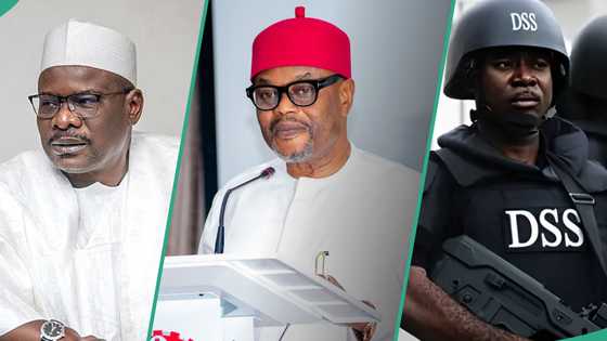 Nnaji’s alleged fake certificate: Ndume speaks on roles of Senate, DSS