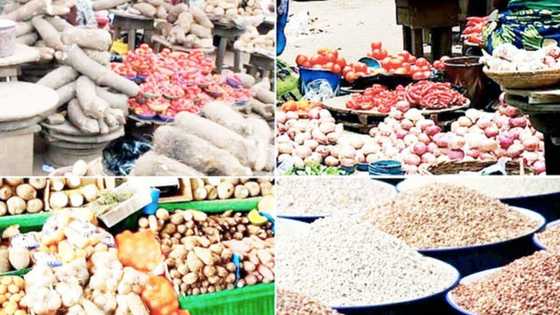 Tallafin Man Fetur: Taliya, Gari Da Rukunin Abubuwa 5 Da Zaka Iya Saya Da Naira 8,000