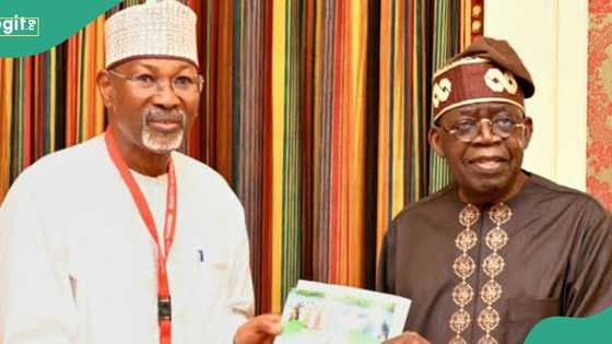 Tinubu gives Jega fresh appointment amid renewed hope pursuit