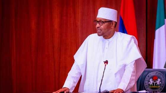 We are preparing APC to remain in power for as long as possible - President Buhari declares