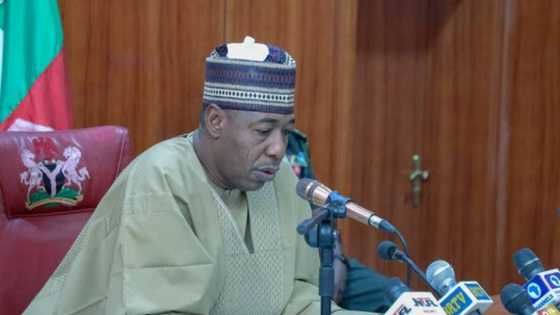 Yanzu-Yanzu: Gwamna Zulum Na Borno Ya Yi Muhimmin Nadi A Gwamnatinsa