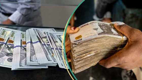 An gano dalilan da suka sanya darajar Naira ta yi kasa kan Dalar Amurka