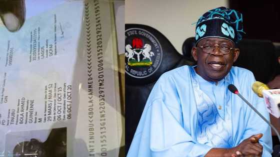 Ahaf: Sirri ya fito, an fadi gaskiyar alakar Tinubu da kasancewarsa dan kasar Guinea