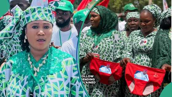 Lady who led Kano underwear rally bags fresh appointment