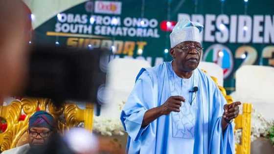 2023: Tinubu Ya Lissafa Shahararrun 'Yan Siyasa Da Ya Taimakawa Suka Zama Gwamnoni