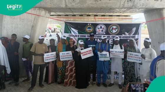Zanga zanga ta barke: Iyayen daliban Borno sun dura kan Tinubu bayan ceto na Oyo