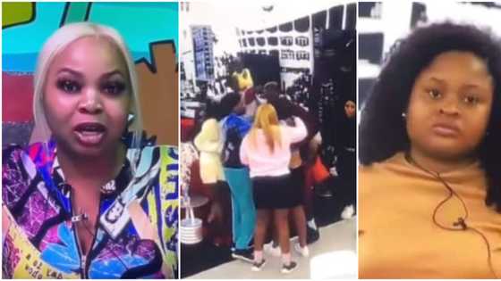 Big Brother Naija Season 7 Top Trending Housemates According to Google