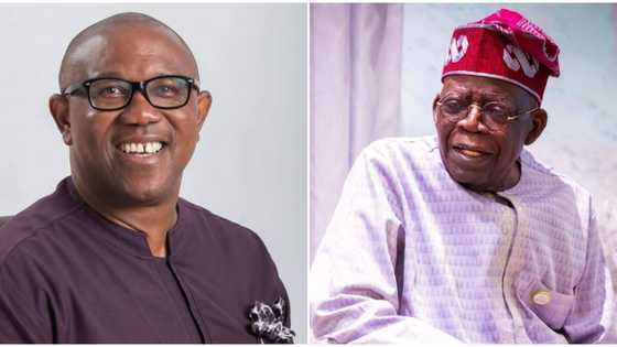 Tribunal: Prominent prophet releases prophecy on Peter Obi ‘winning’ in court