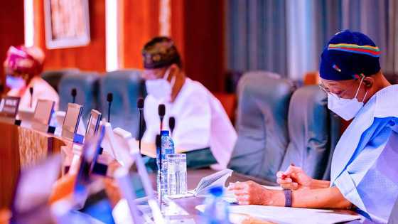 286 Americans, Europeans, others granted Nigerian citizenship as 600 foreigners apply