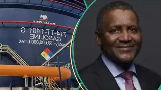 Matatar mai: Dan jaridan da aka yi wa tayin N800, 000 ya fallasa masu son karya Dangote