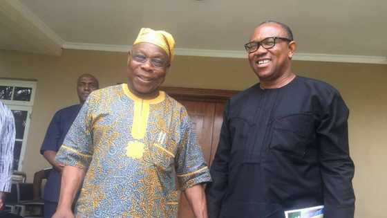 Obasanjo salutes integrity of Atiku's running mate Peter Obi