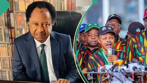 Shehu Sani explains meaning of N62K new minimum wage proposal