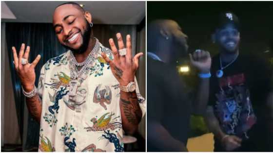 Fans anticipate as video of Davido and Chris Brown dancing to snippet of their unreleased song surfaces