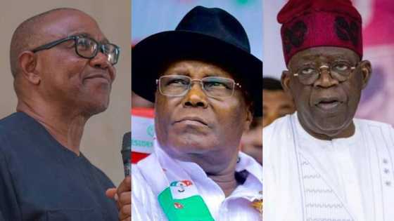 New poll reveals strongest candidate that will win 2023 presidential election