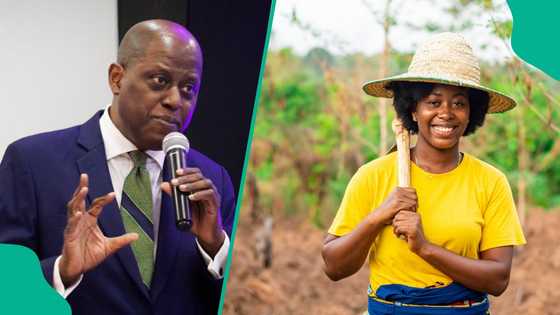 CBN vows to increase loans to farmers as Cardoso unveils new ACGSF board