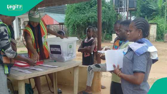 Breaking: Setback for Peter Obi as INEC announces winners of Anambra by-elections