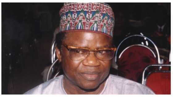 New minimum wage may lead to chaos - APC chieftain Tony Momoh warns Nigerian workers