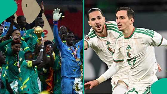 Algeria fan releases statement after CAF stripped Teranga Lions of AFCON 2025 title