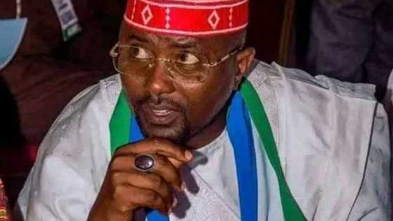 Dakarun ‘Yan Sanda Sun Kama Wani Babban Jagoran Jam’iyyar NNPP a Kano