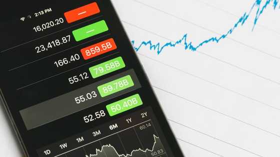 Investment: 6 Types You Should Know About