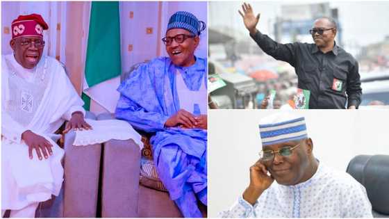 List of candidates who have challenged presidential election results in court since 1999