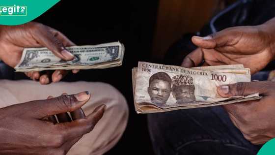 Top investment bank predicts new naira to dollar exchange rate in 2026