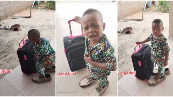 "I want to go and make money": Little Nigerian boy tells dad in funny video, tries to leave home with his bag