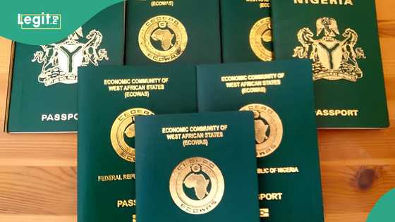 Tinubu's govt increases passport fees, details emerge