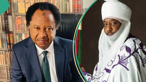 Kano emirate tussle: Shehu Sani makes serious allegation against Emir Sanusi II