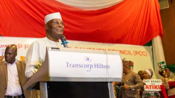 2023: New research reveals PDP manifesto is the most detailed ahead of elections
