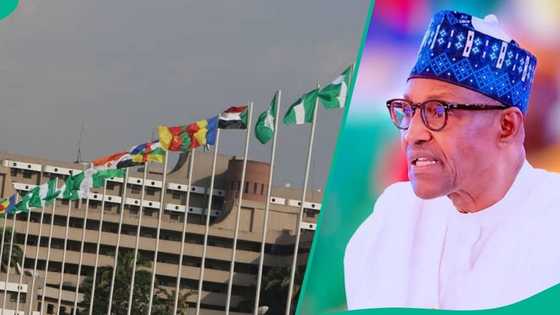Buhari's death: Tinubu orders all national flags to fly at half-staff for 7 days