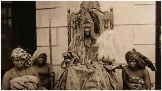 Alaafin stool: Oracle to pick king from 65 aspirants as Ifa consultation set to commence