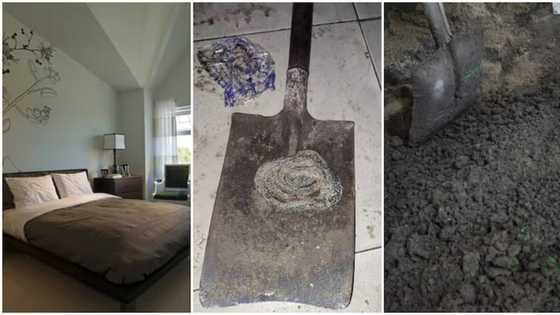 Wasu 'ya'ya sun rude yayin da suka tono maciji a turakar mahaifinsu bayan mutuwarsa