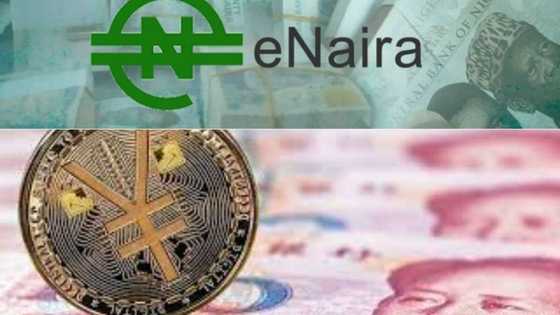 IMF urges Nigerians to trust the eNaira and other Central Bank Digital Currencies because crypto is no match