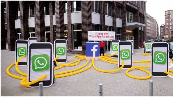Privacy breach: Nigerian regulator to look into WhatsApp's new privacy update