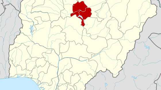 19 inmates rescued as police arrest professor over alleged baby factory in Kano