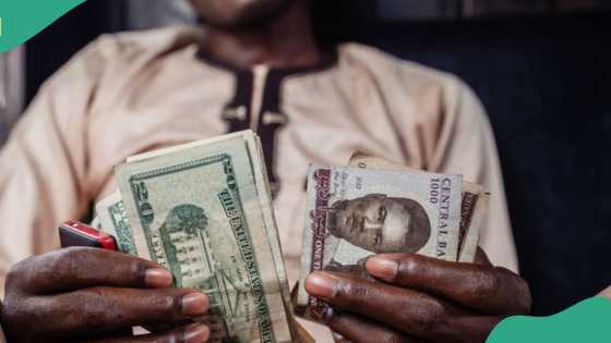 Naira starts week low, falls against US dollar as traders quote new exchange rate