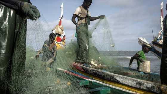 EU vessels to cease fishing in Senegal after accord expires