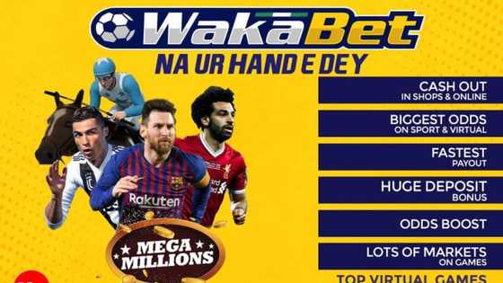 Top details about the amazing Wakabet NG: how to register & play