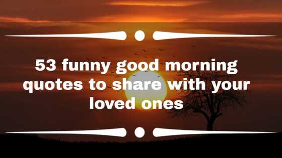 53 funny good morning quotes to share with your loved ones