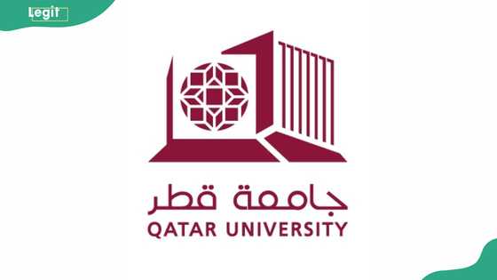 Qatar University scholarship options for Nigerian students and what to know