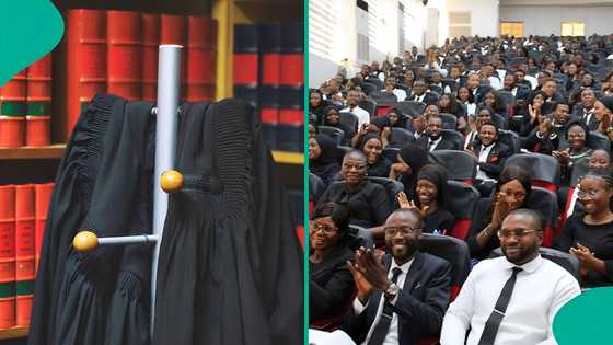 SAN appointments 2025: Complete list of 57 honourees announced