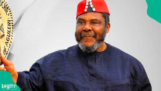 Pete Edochie names Chinua Achebe’s ‘Things Fall Apart’ the greatest African book, gives reason