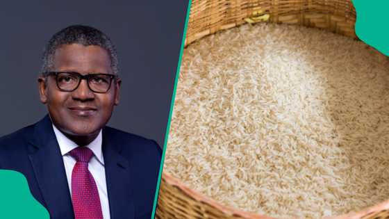 Dangote begins distributing bags of rice, names those to benefit
