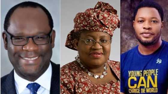 Nigeria at 62: Meet Okonjo Iweala, other smart Nigerians who are making the country proud at global stage