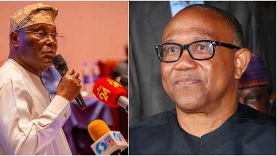Tribunal: Senior lawyer, Agbakoaba rolls out 3 steps to decide Atiku, Obi's fate in 1 week