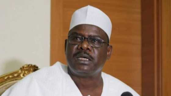 APC senator blasts Buhari, says nothing to show for president's investment in SIP