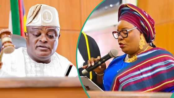 JUST IN: Obasa sues Lagos Assembly over impeachment, details emerge